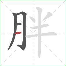 胖的笔顺第4画：横