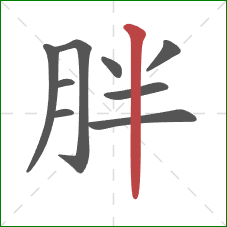 胖的笔顺第9画：竖