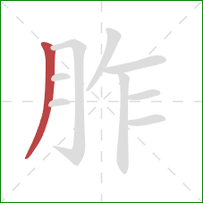 胙的笔顺第1画:撇 胙的笔顺第1画:撇