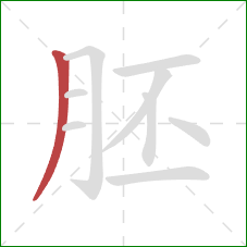 胚的笔顺第1画：撇