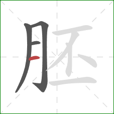 胚的笔顺第4画：横
