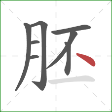 胚的笔顺第8画：点