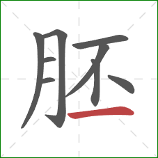 胚的笔顺第9画：横