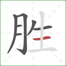 胜的笔顺第7画：横