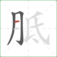 胝的笔顺第3画：横