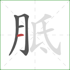 胝的笔顺第4画：横