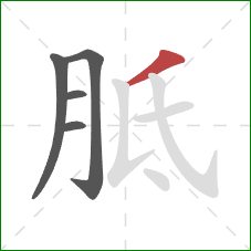 胝的笔顺第5画：撇