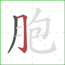 胞的笔顺第2画：横折钩