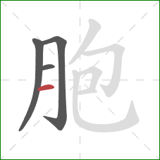 胞的笔顺第4画：横