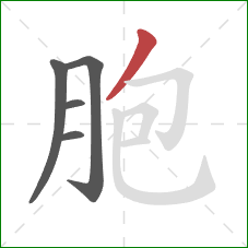 胞的笔顺第5画：撇