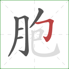 胞的笔顺第6画：横折钩