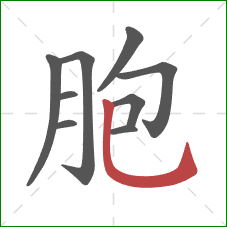 胞的笔顺第9画：竖弯钩