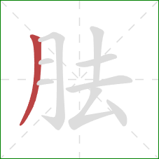 胠的笔顺第1画：撇