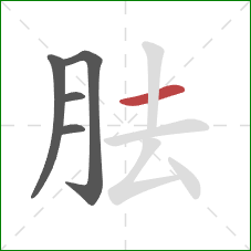 胠的笔顺第5画：横