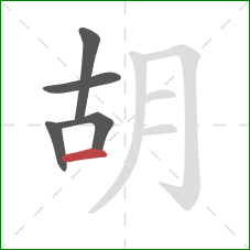 胡的笔顺第5画：横