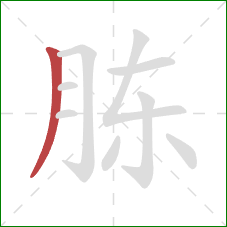 胨的笔顺第1画：撇