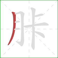 胩的笔顺第1画：撇