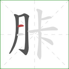 胩的笔顺第3画：横