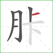 胩的笔顺第6画：横