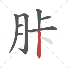 胩的笔顺第8画：竖