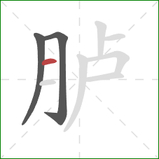 胪的笔顺第3画:横 胪的笔顺第3画:横