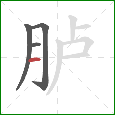 胪的笔顺第4画:横 胪的笔顺第4画:横