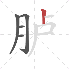 胪的笔顺第5画:竖 胪的笔顺第5画:竖