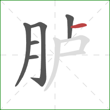 胪的笔顺第6画:横 胪的笔顺第6画:横