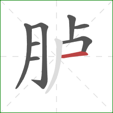 胪的笔顺第8画:横 胪的笔顺第8画:横