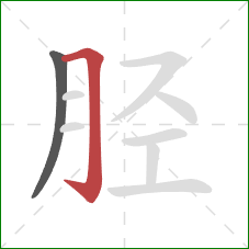 胫的笔顺第2画：横折钩