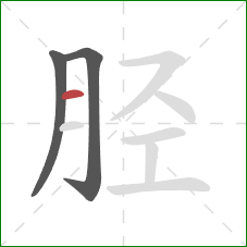 胫的笔顺第3画：横