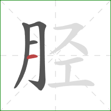 胫的笔顺第4画：横