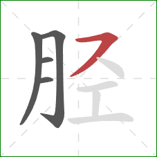 胫的笔顺第5画：横撇