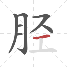 胫的笔顺第7画：横