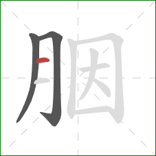 胭的笔顺第3画：横