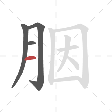 胭的笔顺第4画：横