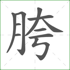 胯的笔顺