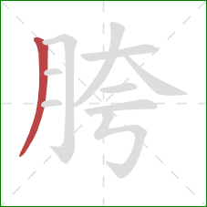 胯的笔顺第1画：撇