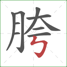 胯的笔顺第10画：竖折折钩