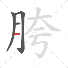 胯的笔顺第4画：横