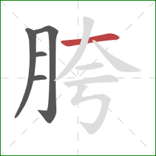 胯的笔顺第5画：横