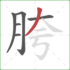 胯的笔顺第6画：撇