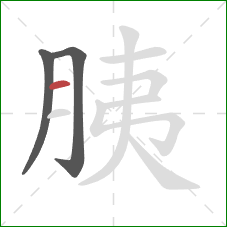 胰的笔顺第3画：横