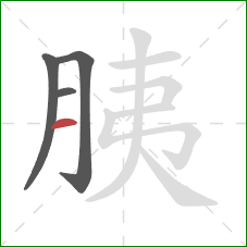 胰的笔顺第4画：横