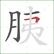 胰的笔顺第6画：横折