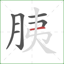 胰的笔顺第7画：横