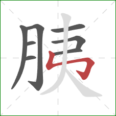 胰的笔顺第8画：竖折折钩