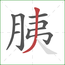 胰的笔顺第9画：撇