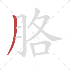 胳的笔顺第1画：撇