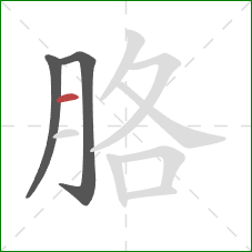 胳的笔顺第3画：横